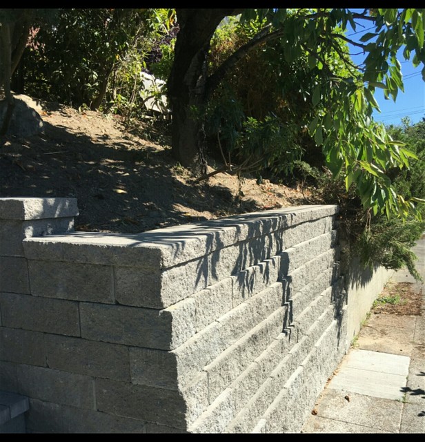 Retaining Wall traditional-garden
