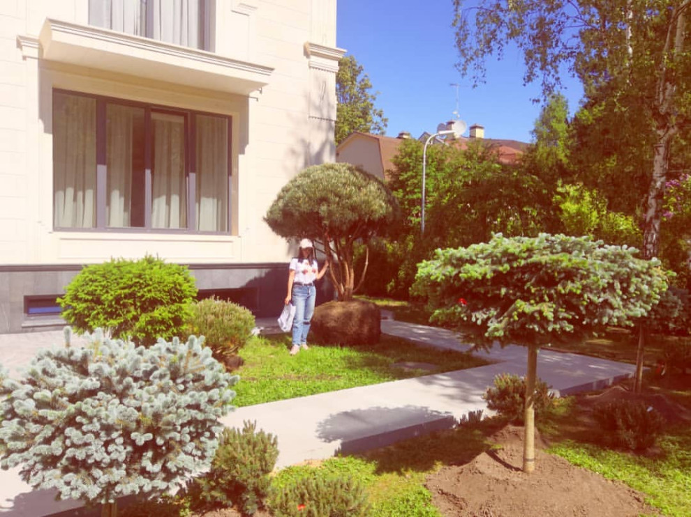 Landscape design of the territory (Moscow region)