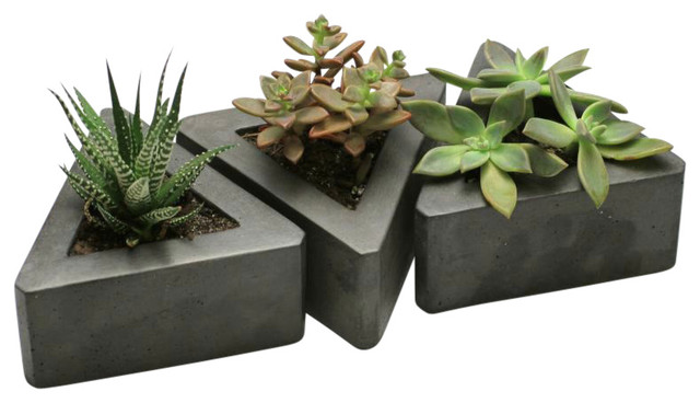Triangular Concrete Pots Modern Indoor And Planters By Triangular Concrete Pots Dark Gray