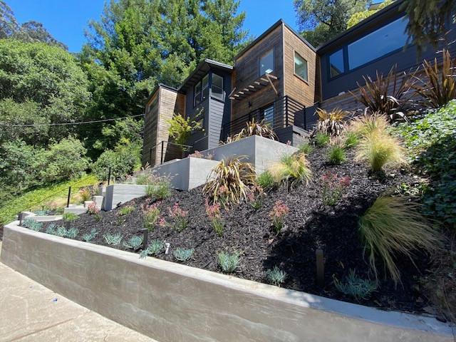 Balaraman Residence - Montclair, Oakland Hills