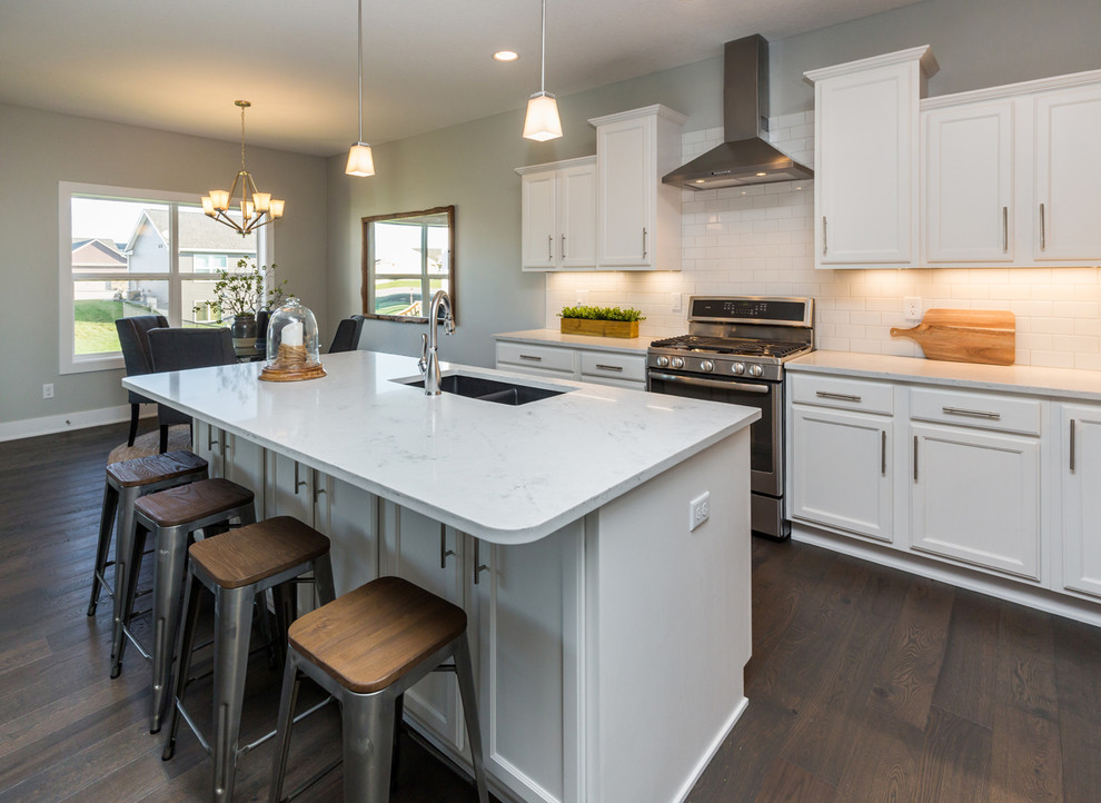 Kitchen - transitional kitchen idea