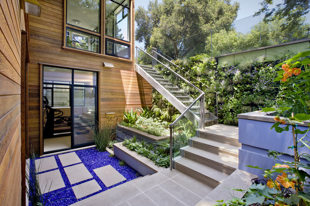 This is an example of a contemporary backyard garden in San Francisco with a vertical garden.