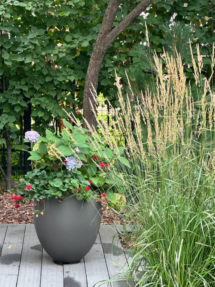 Чистые линии