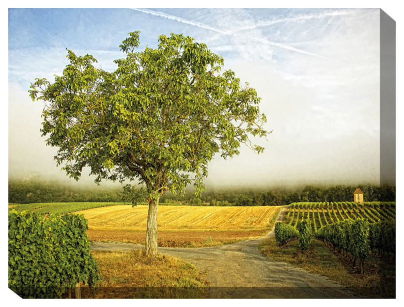 A Vineyard Walk No.1 Outdoor Art Farmhouse Outdoor Wall Art by