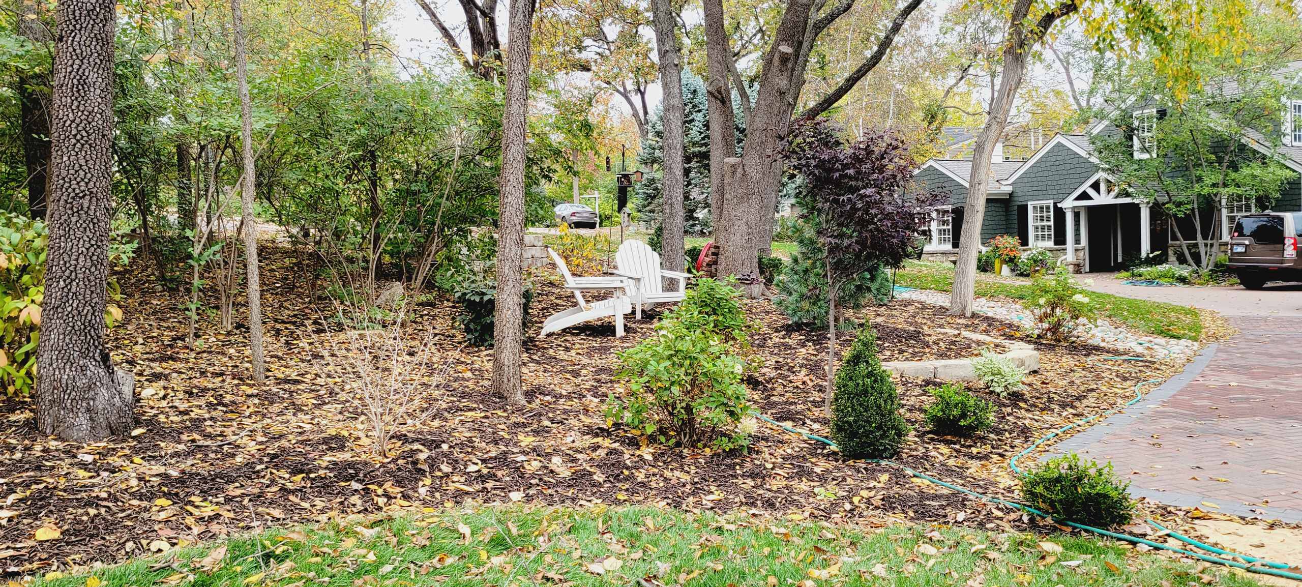 Woodland Restoration