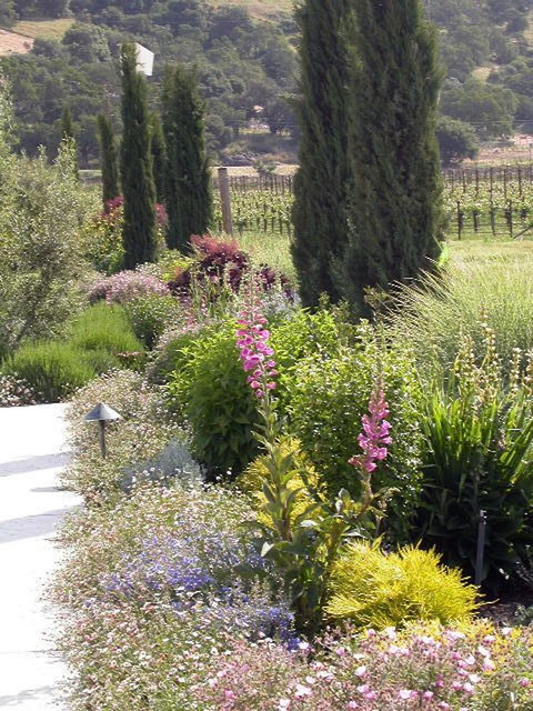 Our Projects garden