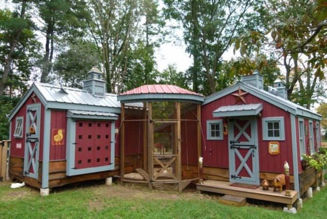 Chicken Coop