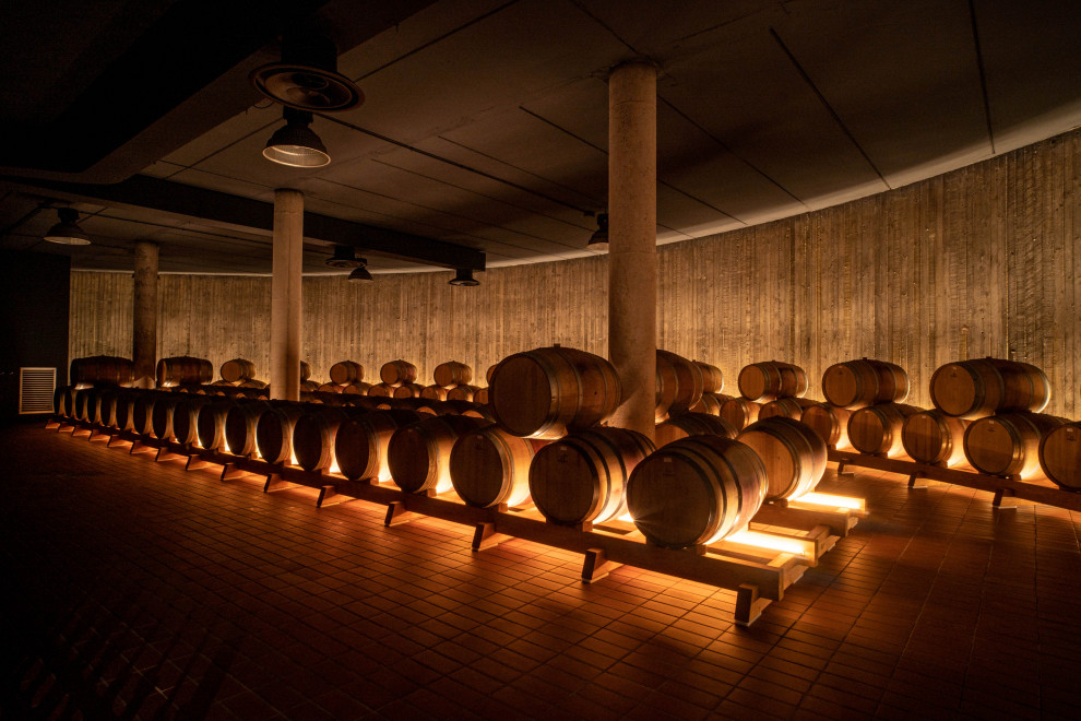 Inspiration for a large modern wine cellar in Rome with terra-cotta floors, display racks and orange floor.