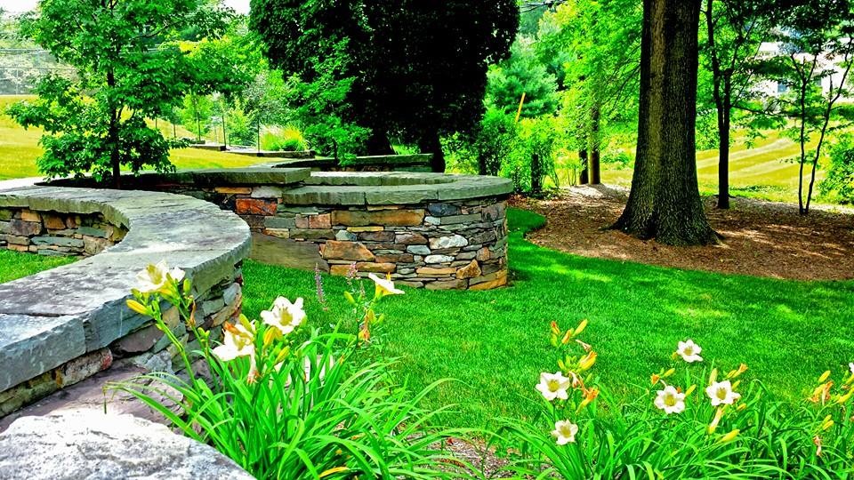 This is an example of a large contemporary backyard full sun garden in Baltimore with a retaining wall and mulch.