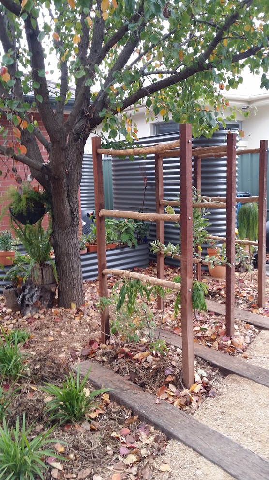 Photo of a contemporary garden in Adelaide.