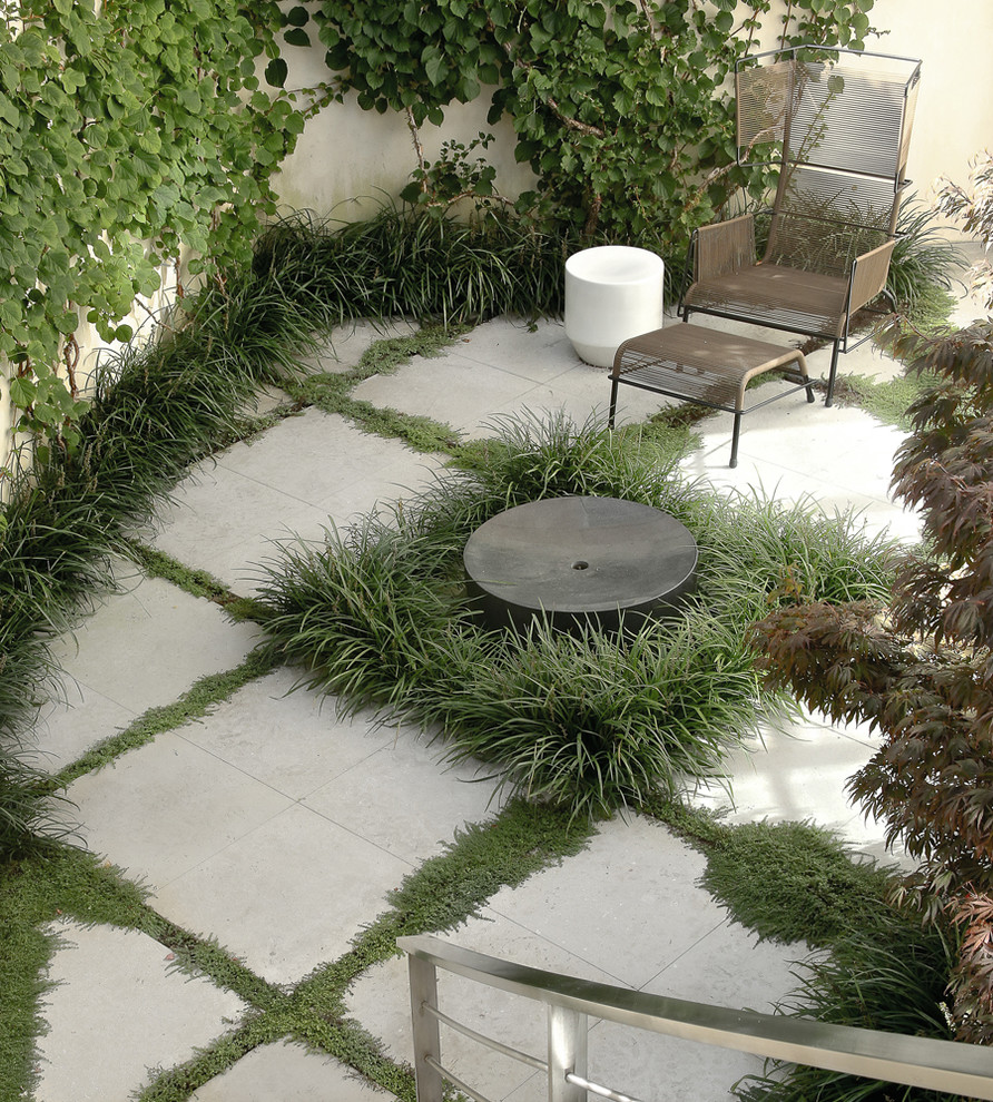 Design ideas for a modern garden in New York.