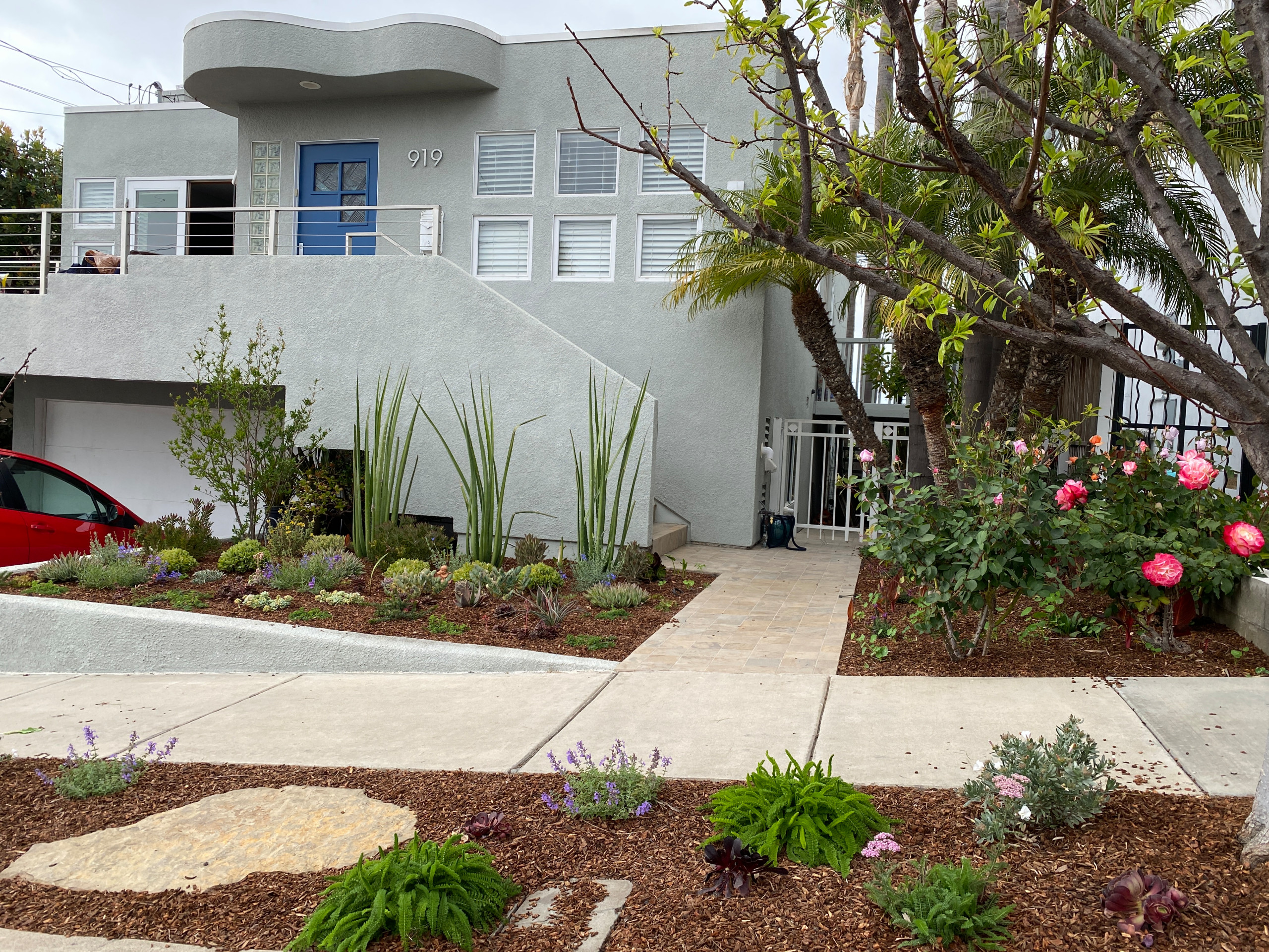 Hermosa Beach, CA: Front Yard Edible Modern Curb Appeal