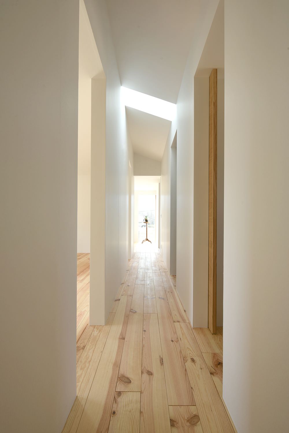 おいしい家。Case Study House #80