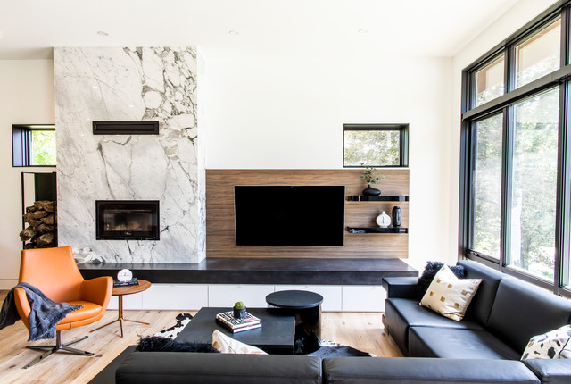Project Scenic contemporary-living-room