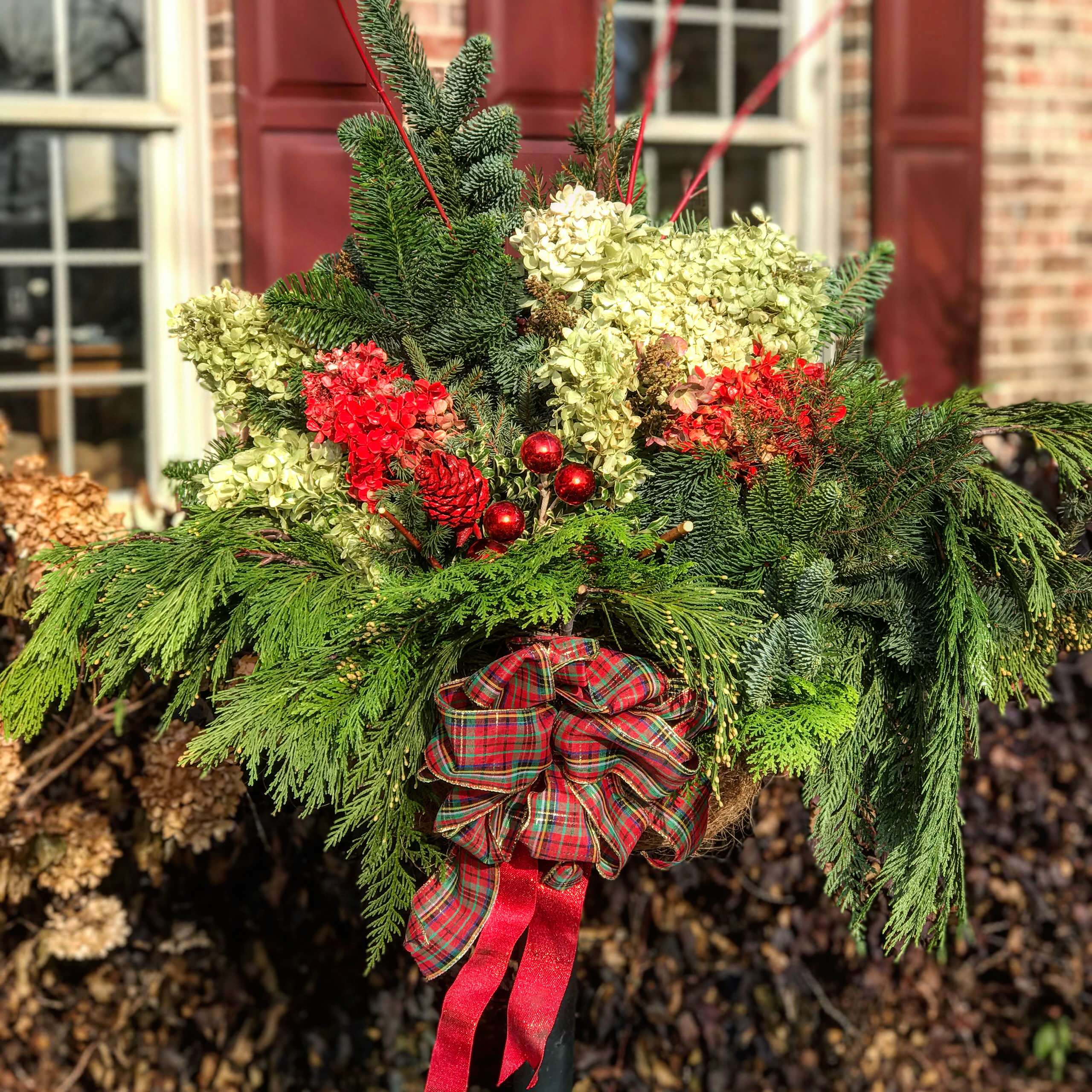 Winter containers and Holiday Decorations