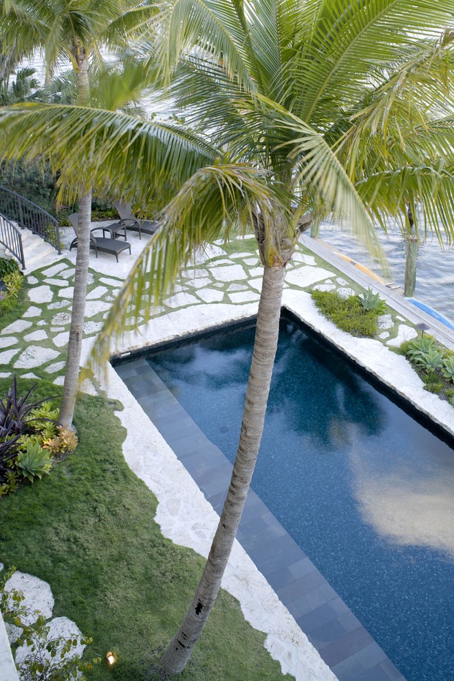 Inspiration for a tropical lap pool in Miami.