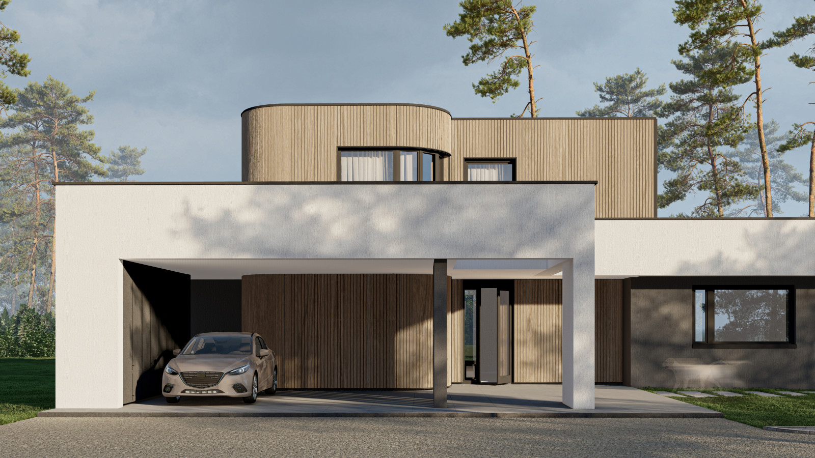 Дом в Колюпаново