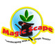 Magic Scape