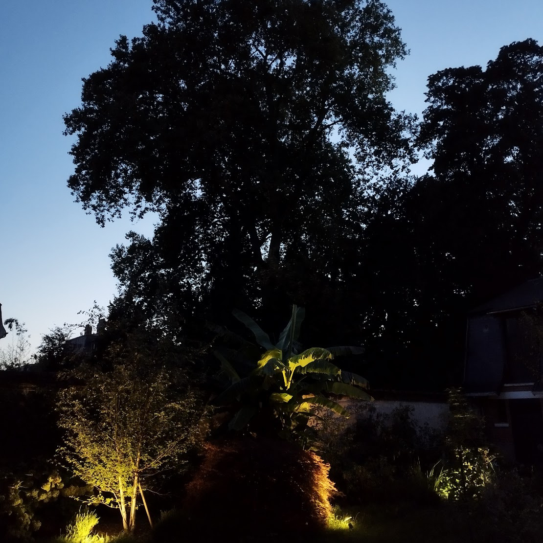Redécouvrir le jardin le soir grâce à l'éclairage