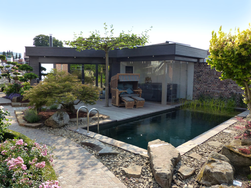 This is an example of a small contemporary backyard rectangular natural pool in Dortmund with a pool house.