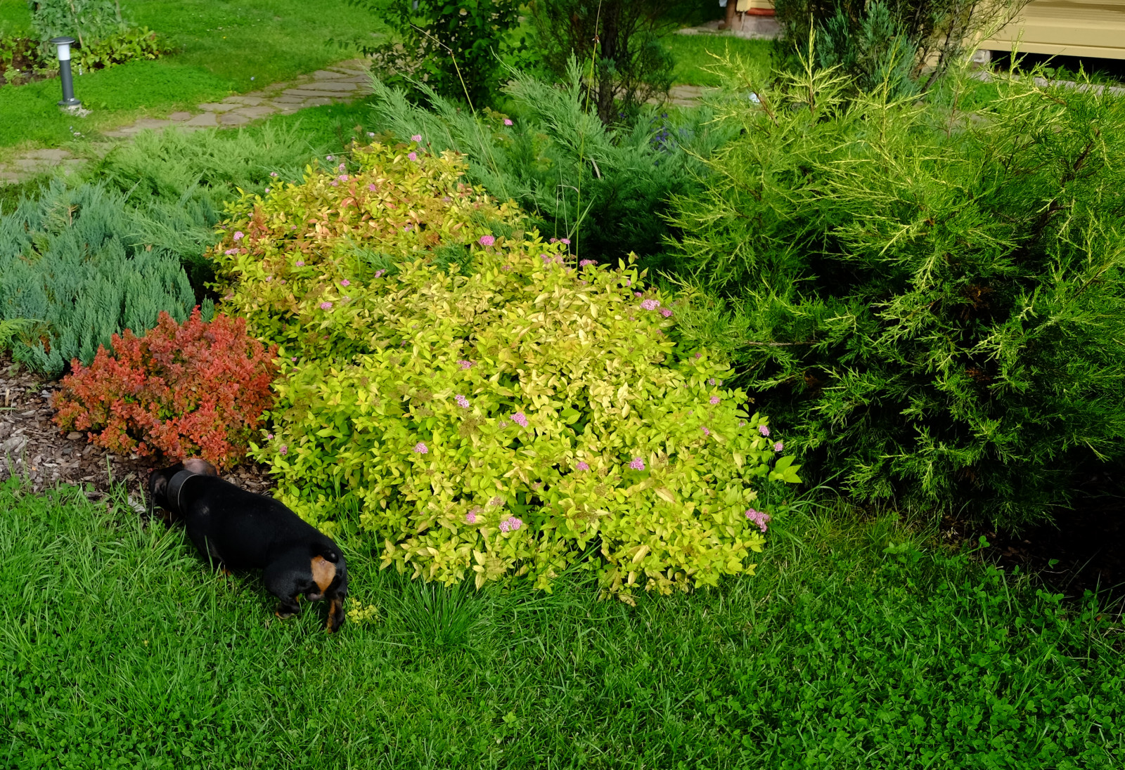 Зеркальный Ландшафтное проектирование