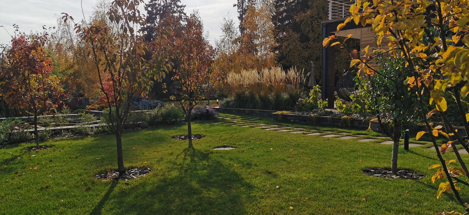 Благоустройство участка 20 соток в КП Пестово