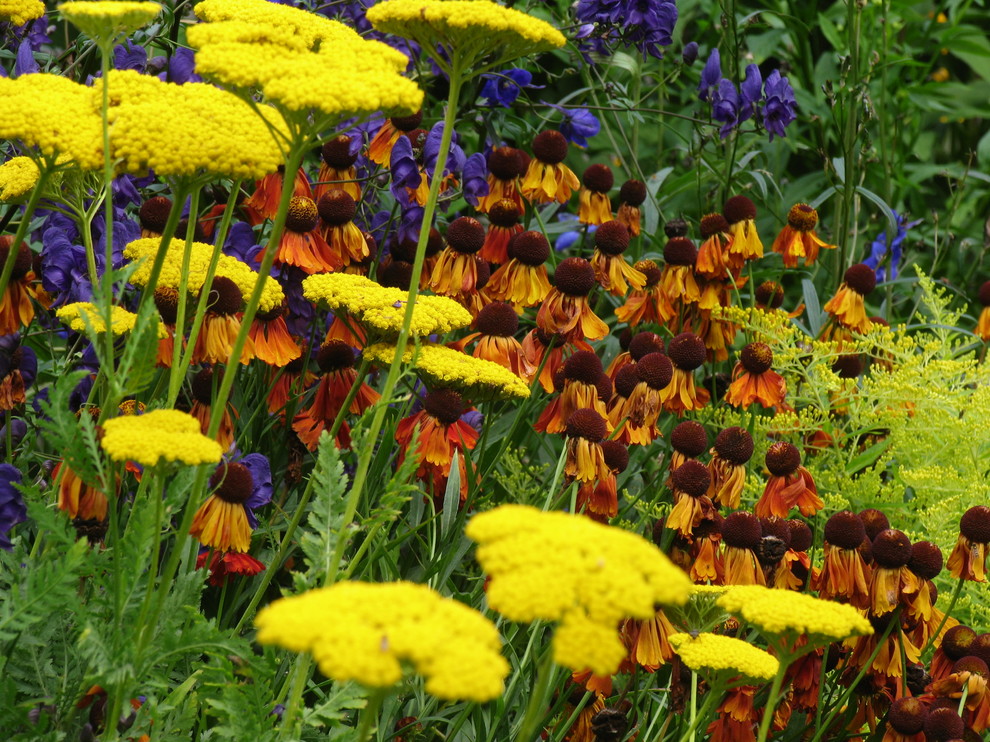 Поселок гольф-клуба Пестово