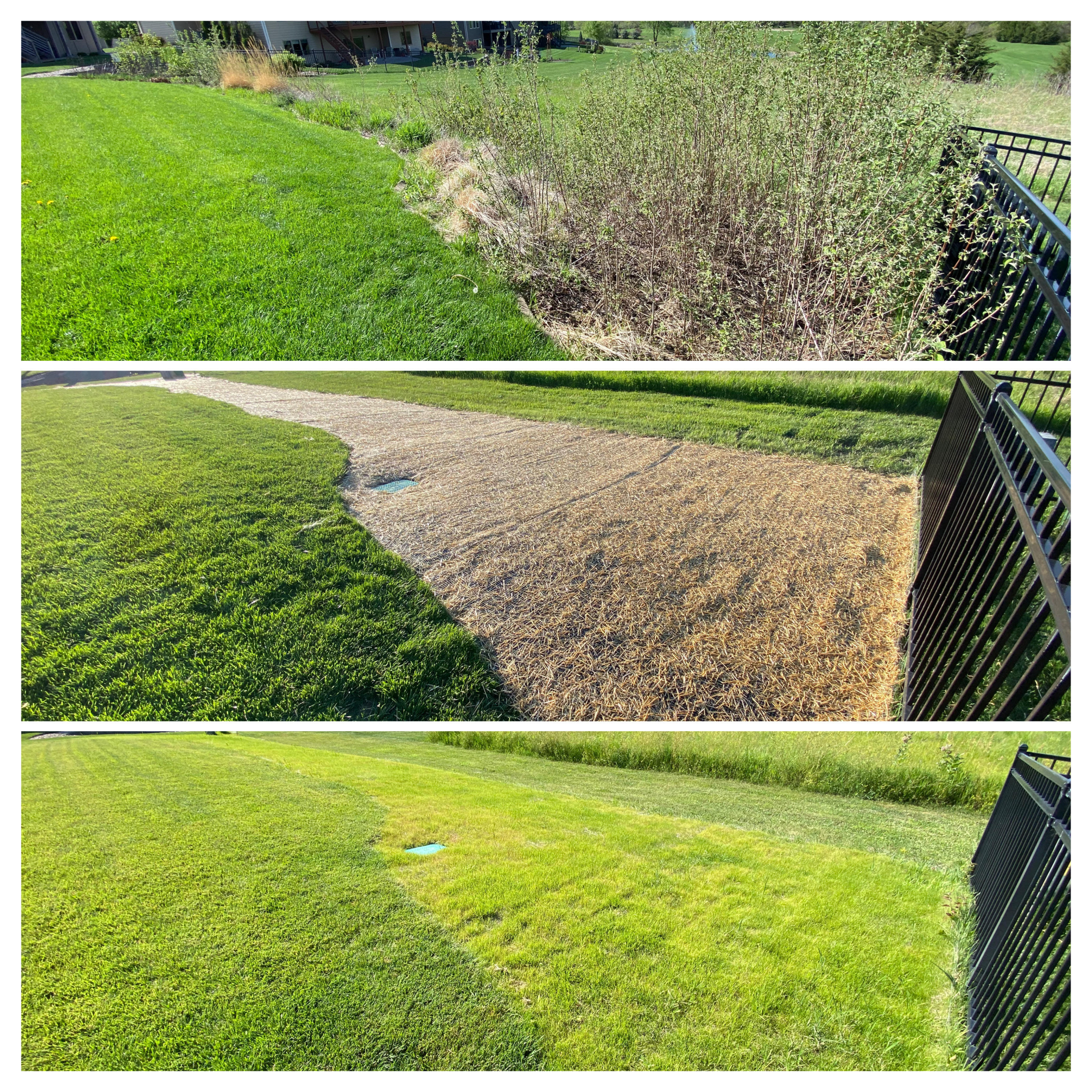 Landscape Removal & Seeding
