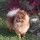 Last commented by Marie Bartkowski