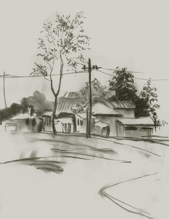 Мои черно-белые рисунки