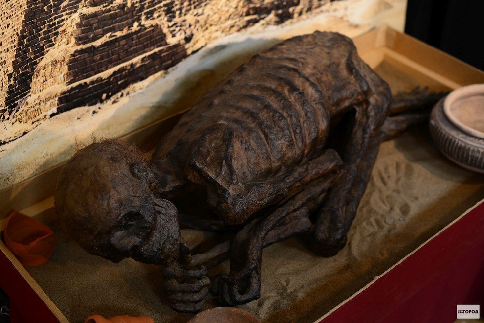 Передвижная выставка "Египетские мумии. У истоков времён"