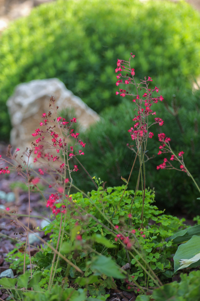 Якшино. Осень 2019