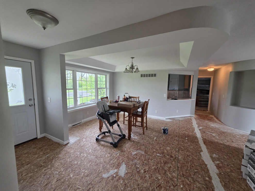 Livingroom / Dining Room / Hallways Painting