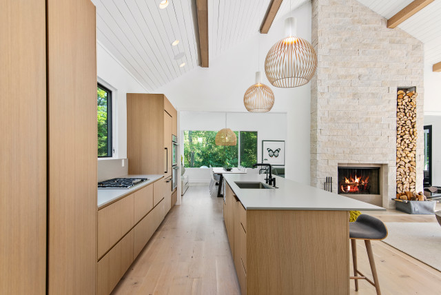 Black Modern Farmhouse contemporary-kitchen