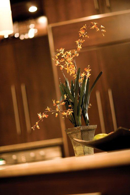 Transitional Treasure transitional-kitchen