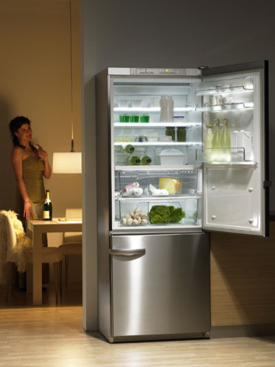 Freestanding Miele refrigerator? Freestanding Miele refrigerator?