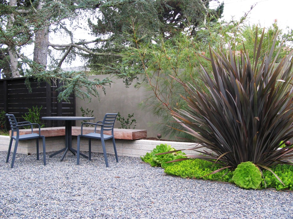 Modern backyard garden in San Diego with gravel.