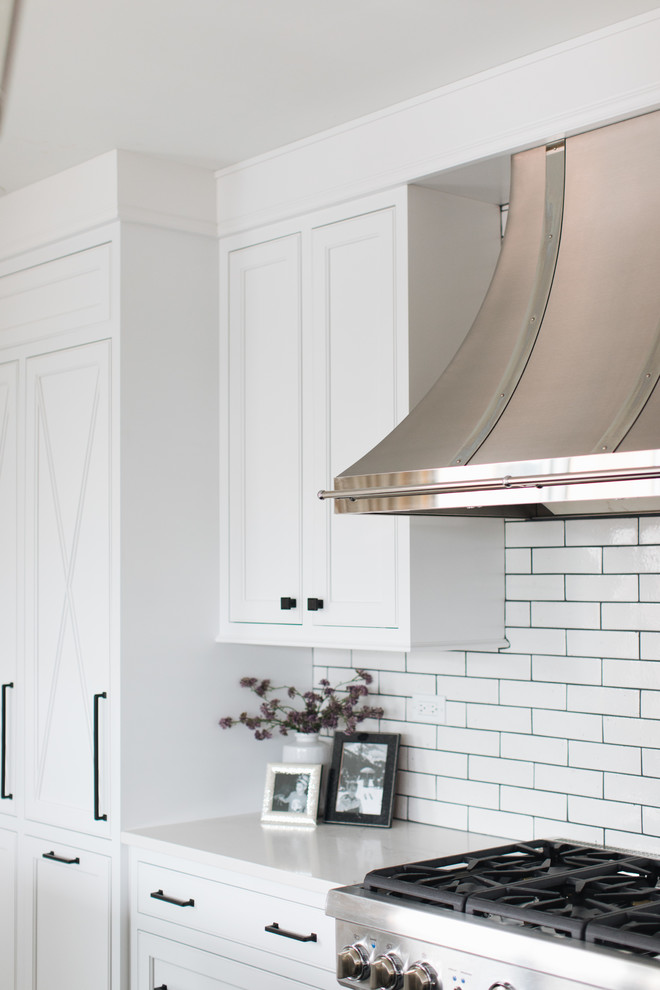 Inspiration for a transitional home design remodel in Chicago