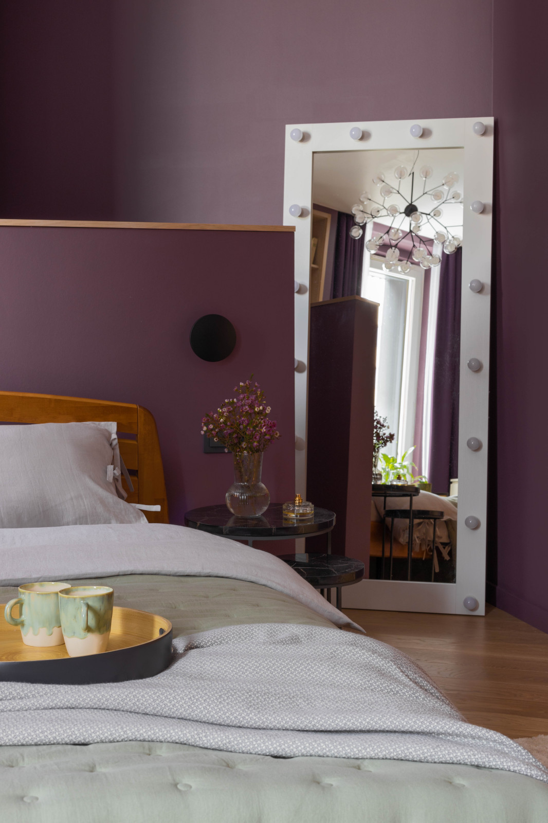 квартира с попугаями