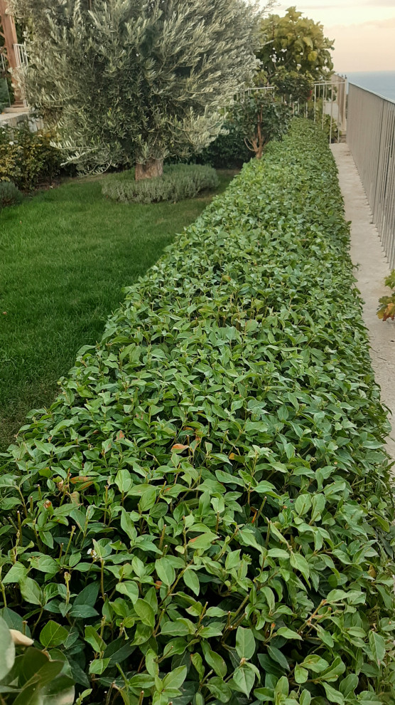 Ландшафтный дизайн