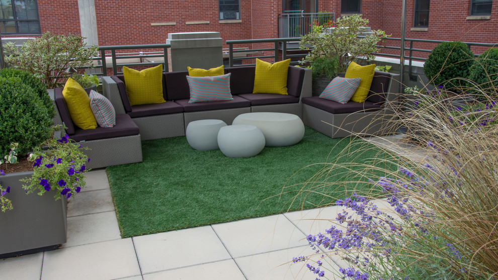 This is an example of a small contemporary courtyard patio in DC Metro with a container garden and concrete pavers.