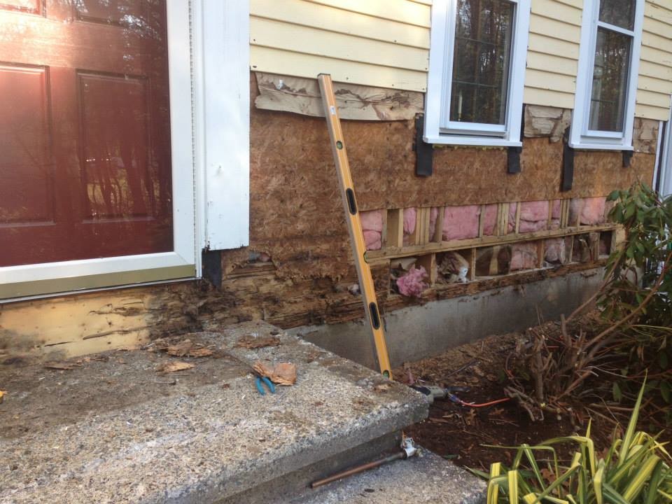Westford, MA Ant Damage and Water Damage