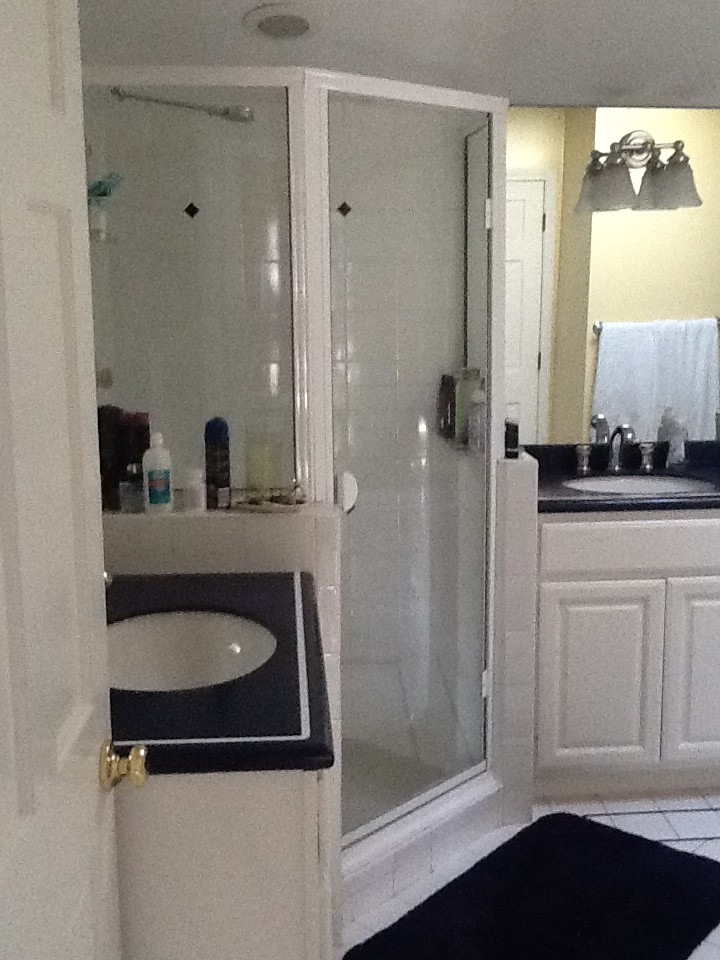 Master Bathroom Renovation