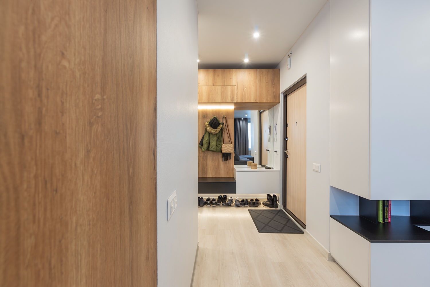 Spacious entrance hall in modern style