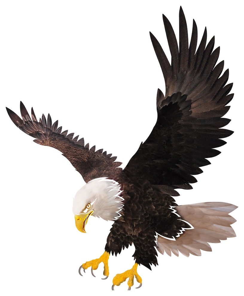 Classic Bald Eagle Wall Art Contemporary Metal Wall Art by Next
