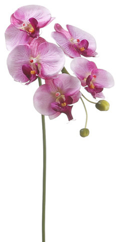Silk Plants Direct Phalaenopsis Orchid, Pack of 12, Orchid