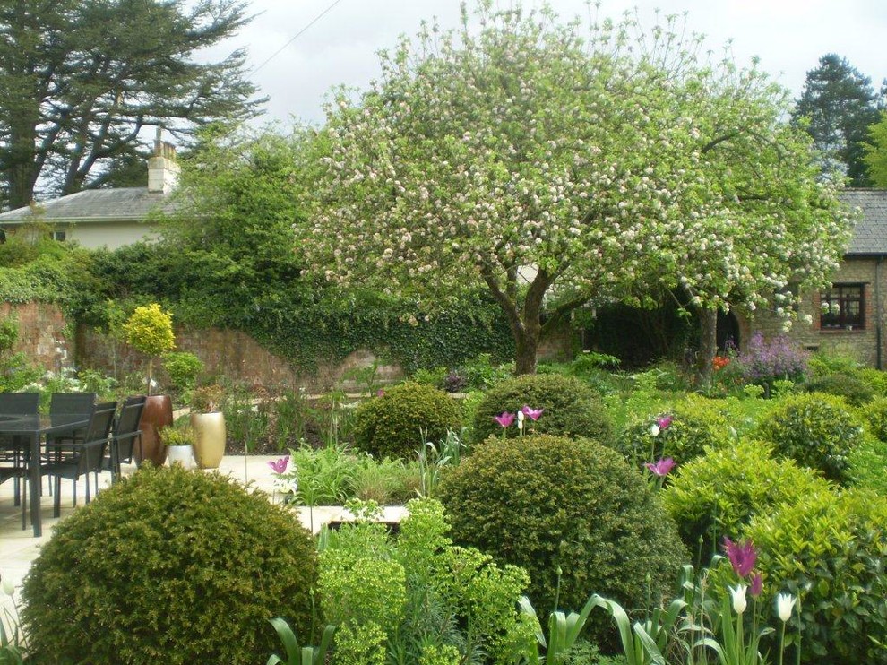 Contemporary garden in Oxfordshire.