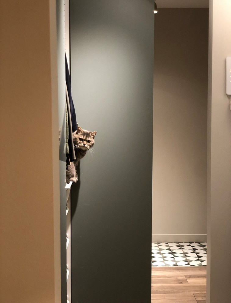 Современная двушка в панельном доме в Царицыно