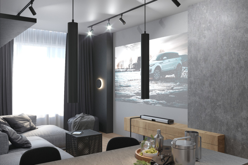 Однокомнатная монохромная квартира