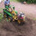 All Sites Stump Grinding